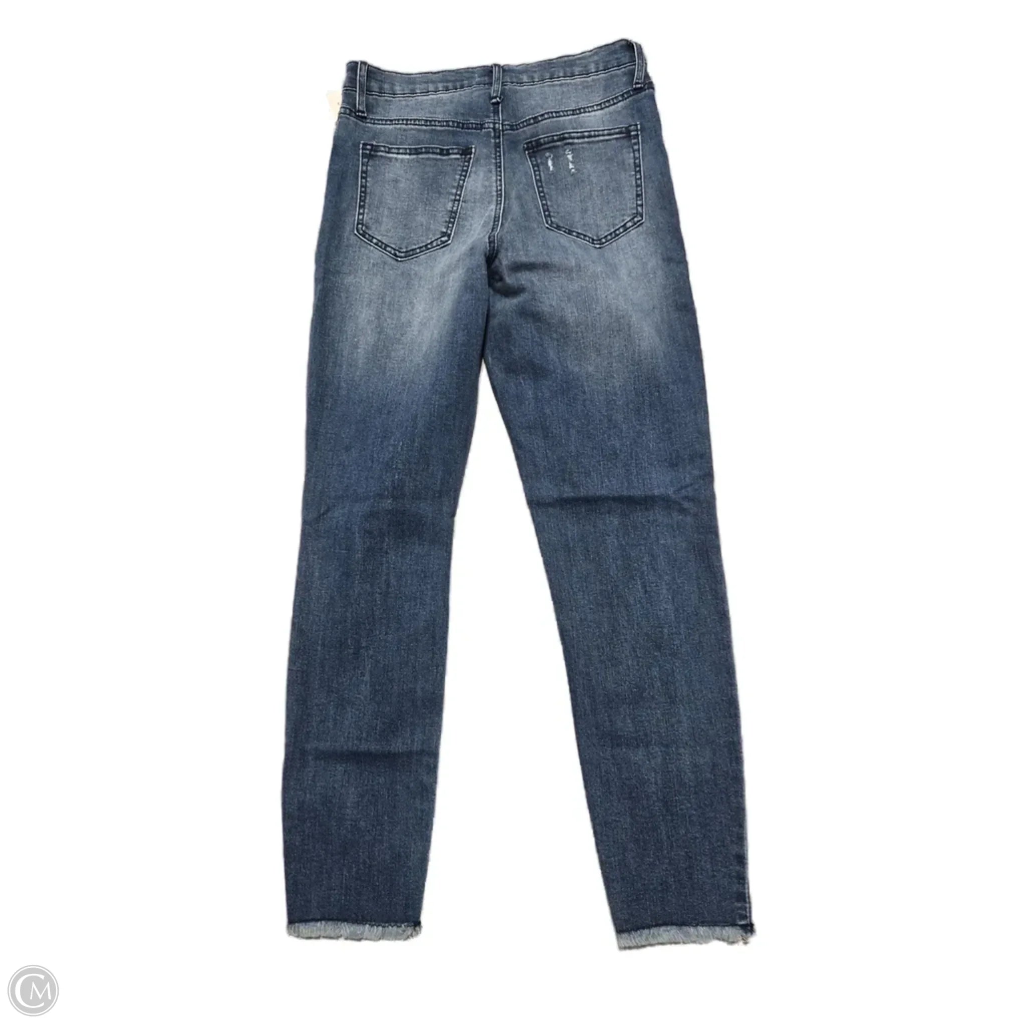 Jeans Skinny By Altard State In Blue Denim, Size: 8