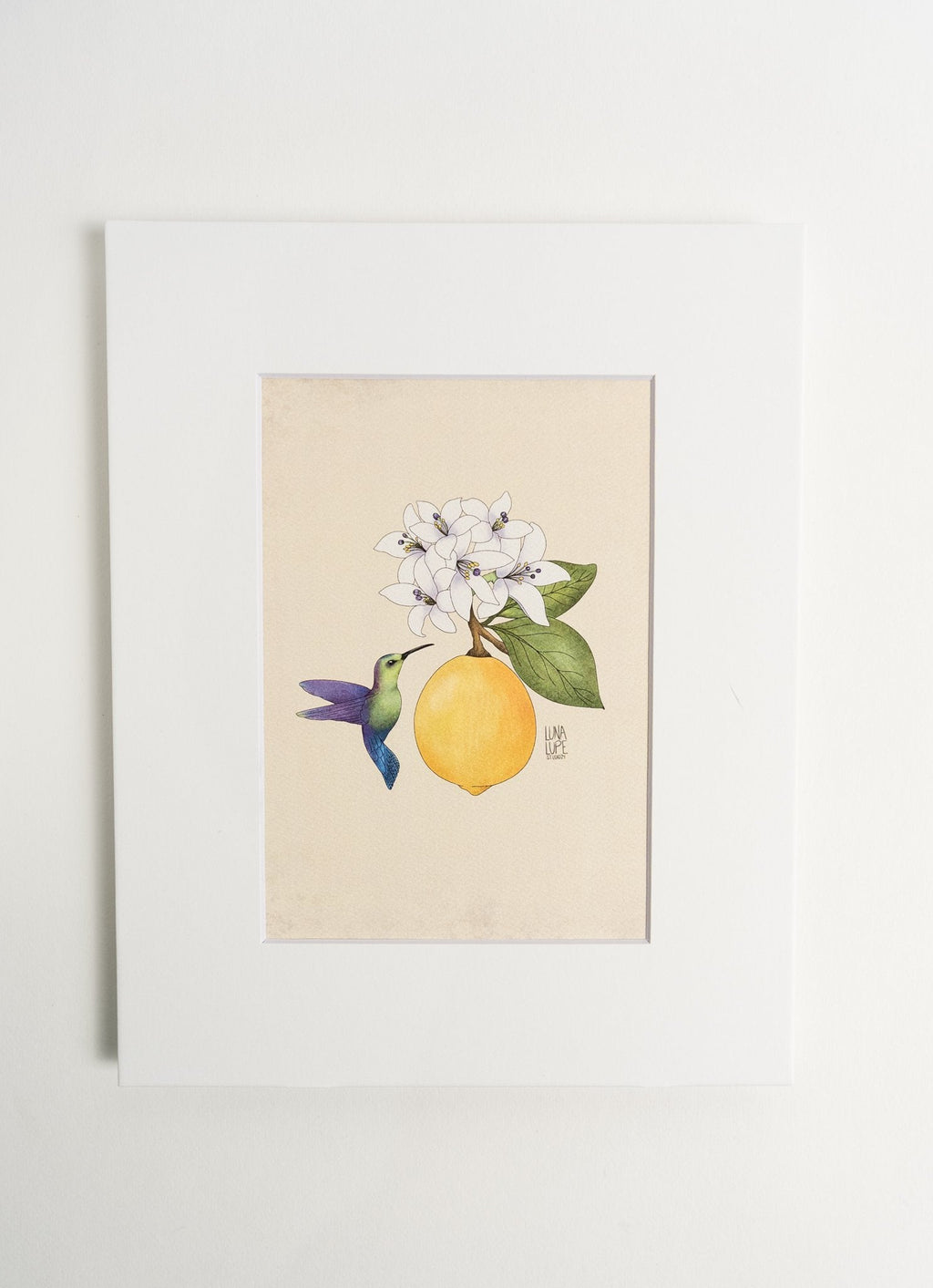 Hummingbird and Lemon Fruit Art Print